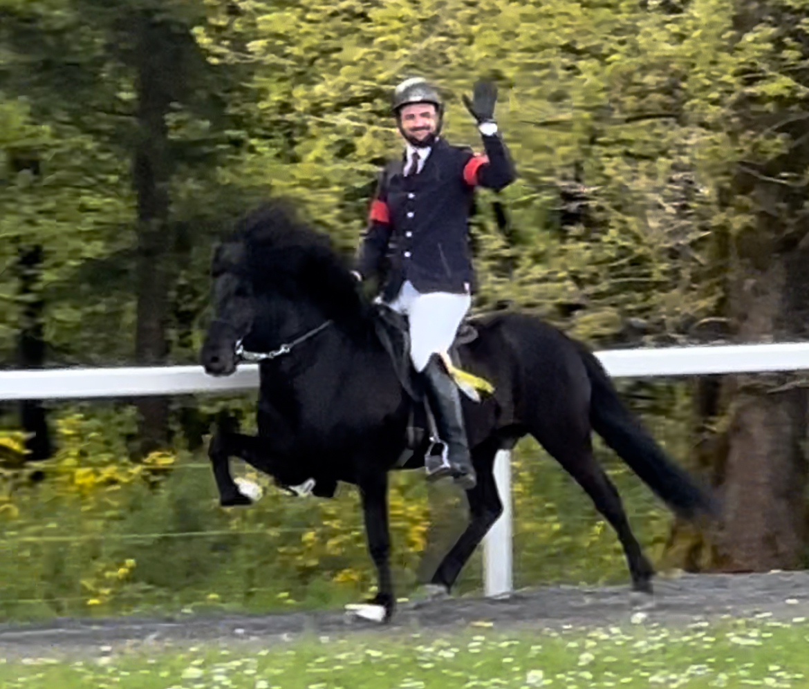 Herkules vom Löhrfeld im Turnier